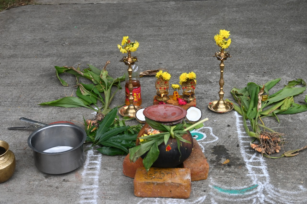 PONGAL CELEBRATION 